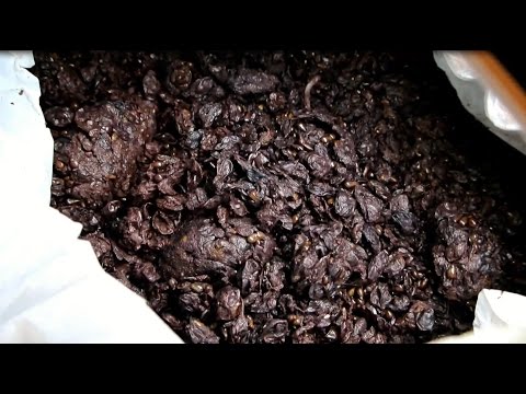 גראפה (צ'צ'ה) בתסיסה עם סוכר אינברטי ושמרי שמפנייה תרבותיים