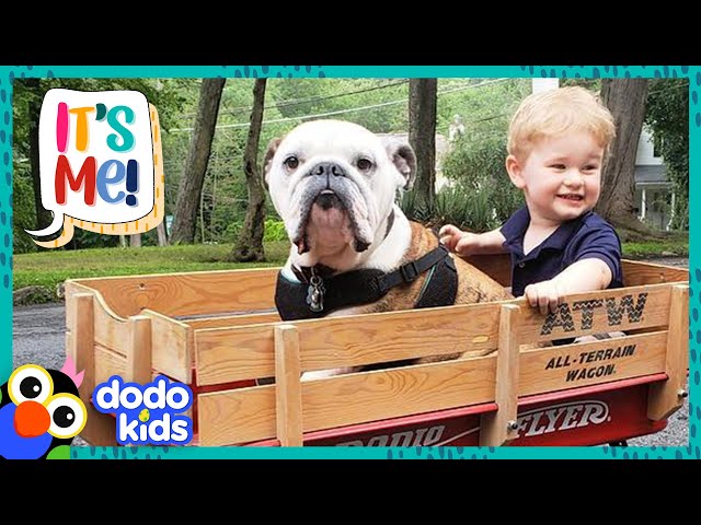 Bulldogと男の子◇ ◇ Amazon.com: JEKCA English Bulldog 01S-M04 | Dog Plastic Building