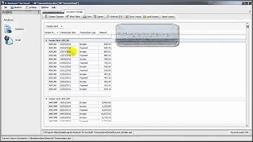 d-Analyzer™ For Excel - 7. Detail Report