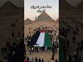 مصر الكنانه هنا مصر مصر وطني المخابرات العامة المصرية 