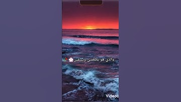 سوره الشعراء تلاوة خاشعة ومؤثرة