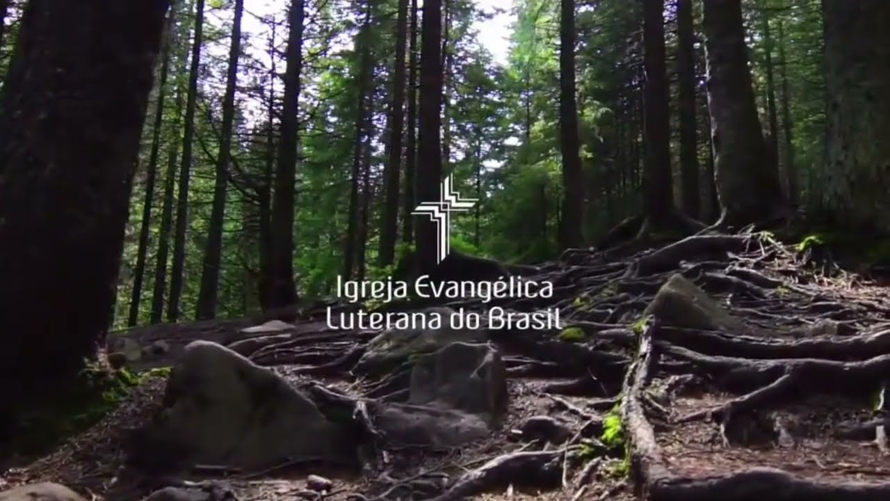 Perdão e Graça - Vineyard (versão 4 cover)