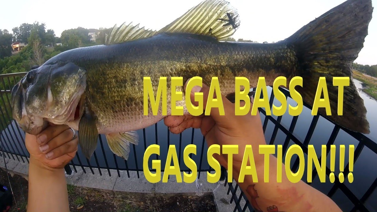 BEST Bass Fishing Gas Station EVER!!! YouTube
