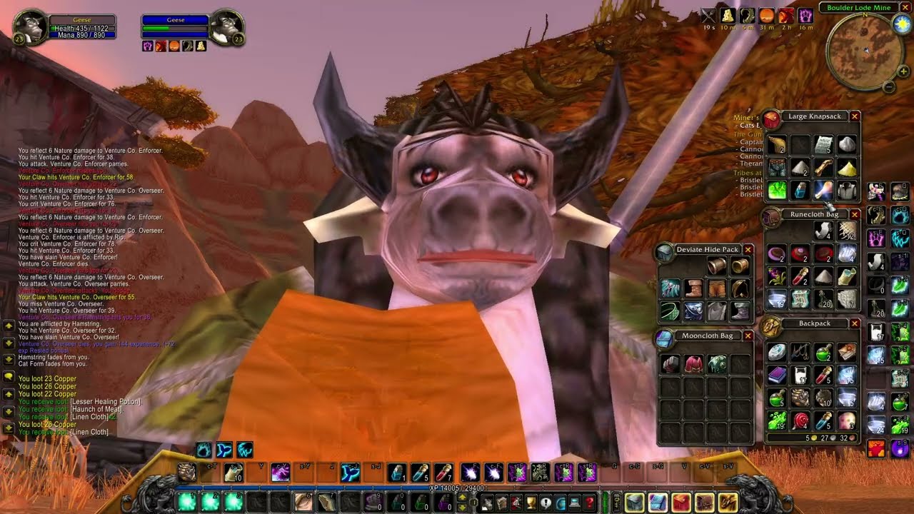 Geese lvl 23 - 24 questing Ashenvale