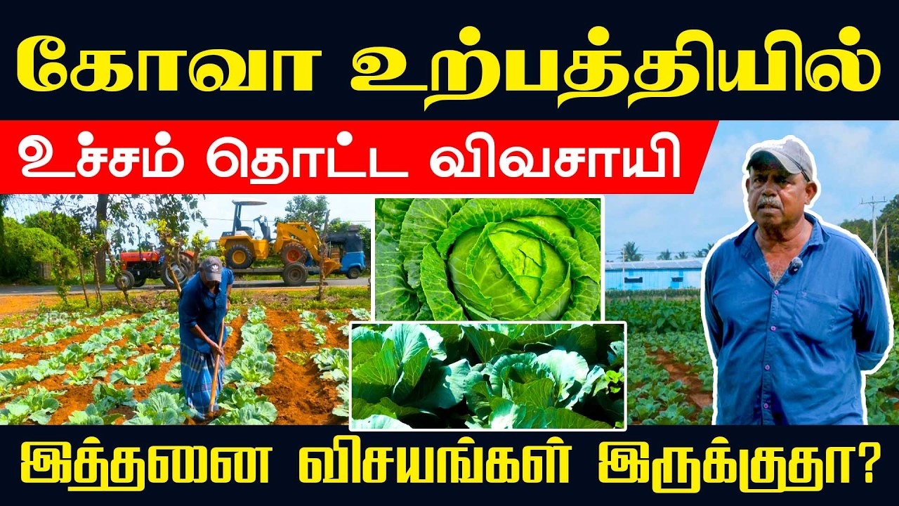 Top Goa Farmer Secrets Exposed! 😲 யாரும் இதை அறியவில்லை! #Urumpiray #Orvasani