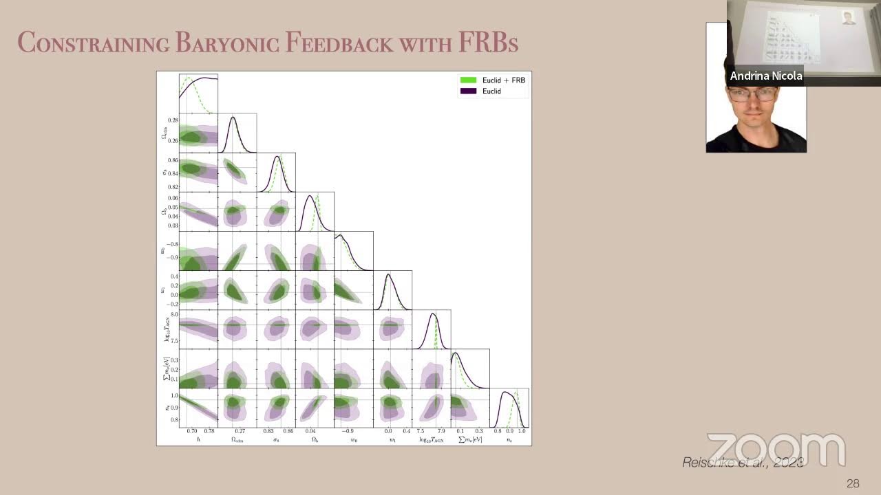 Andrina Nicola (Uni Bonn) : Cosmological probe combination for current and future surveys