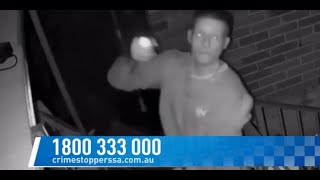 SCT and theft _ Newton