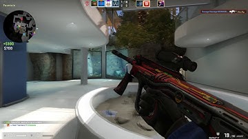 CSGO NEW Maps! ZOO and Abbey! Kill Compilation!