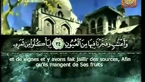 سورة يس الشيخ محمد زلماطي الجزائري