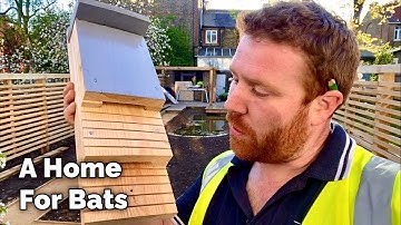 How To Make a Bat Box