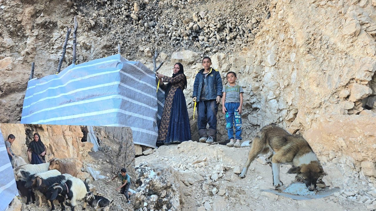 🏔️ A day with a nomadic family in the mountains: cave life and sheep ...