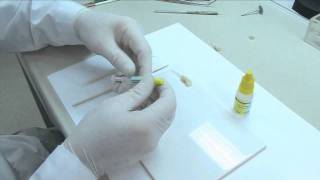 IPS Empress CAD® - Glaze Only