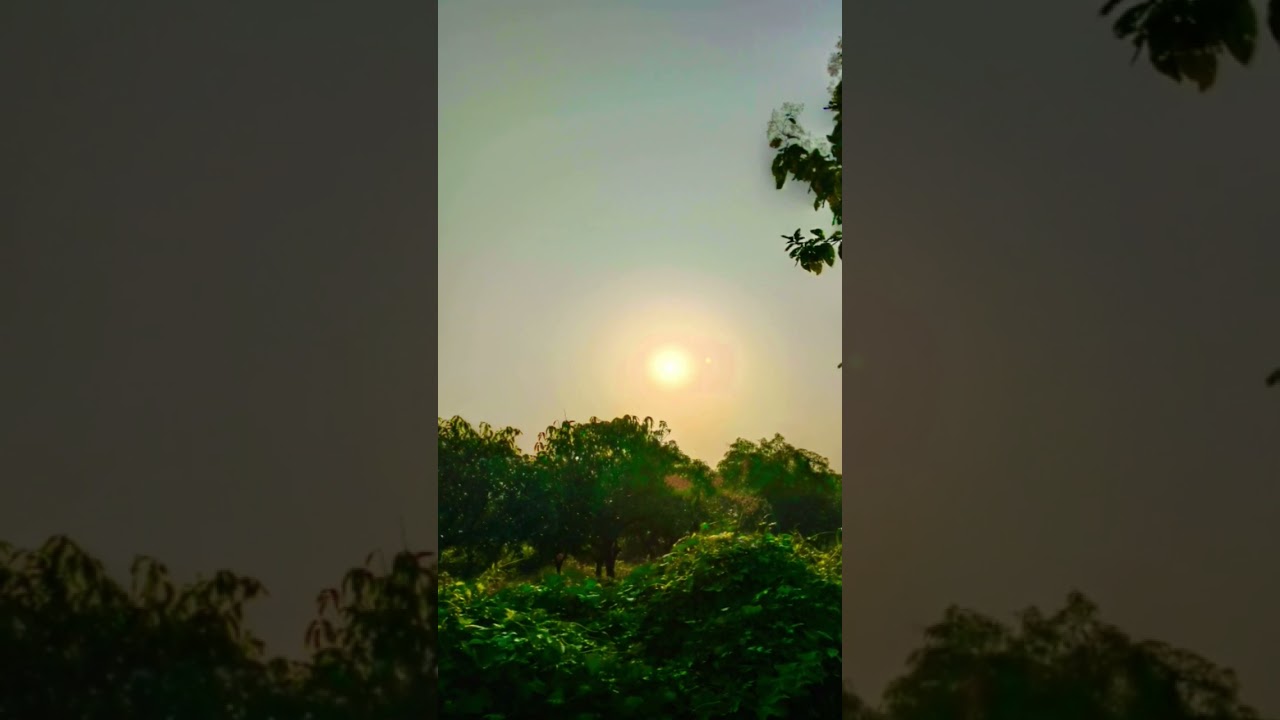 Ranvijay's entry medley | animal | a.r. rahman | threeory band | 