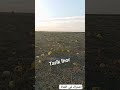 خود القناعة والرضا خود القناعة والرضا