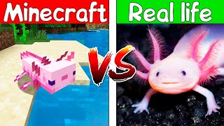 Realistic minecraft ! Realistic water ! lava ! Slime block