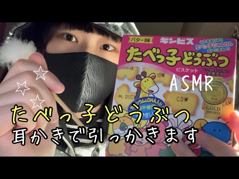 【ASMR】たべっ子どうぶつを耳かきで♪/お菓子の箱を耳かきカリカリ音フェチ/Earpick asmr