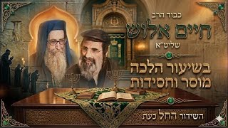 Live streaming of Rabbi Haim Aloush - The Official Channel screenshot 5