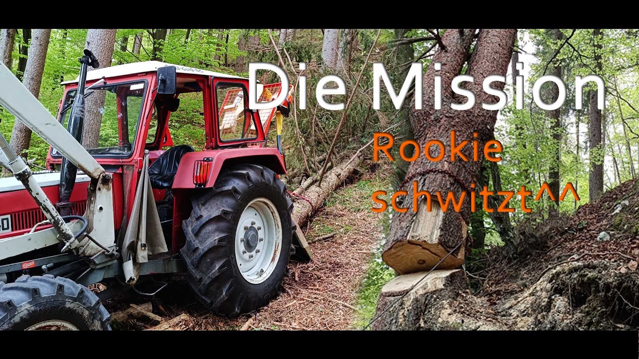 Mission im Wald - Käferalarm?! #steyr #STIHL #holzknecht