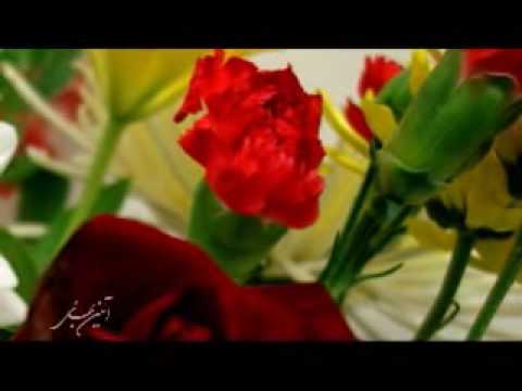 Bahaiview - Chashme hame roshan - Ridvan (Rezvan)