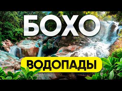 Вьетнам, ПАРК БОХО: цены, отдых, развлечения в 2026. Полный обзор