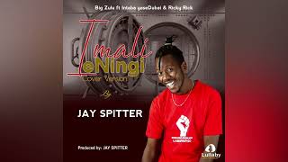 iMali eNingi - BigZulu Feat. Intaba Yase Dubai & Ricky Rick (Cover By JAY SPITTER)