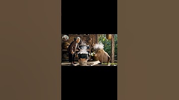 Capybara xem bà hấp cua  #capybara #haihuoc #funny