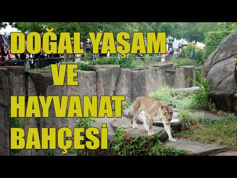 Doğal Yaşam ve Hayvanat Bahçesi #malatya #hayvanatbahçesi