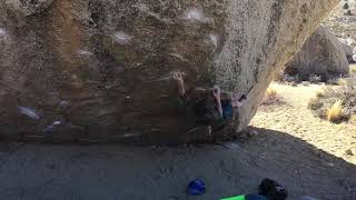 Bubba Gump v10