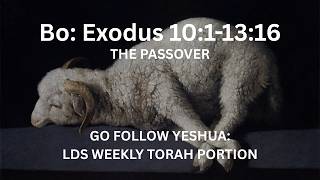 Bo: The Passover | Go Follow Yeshua: LDS Weekly Torah Portion