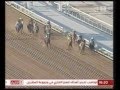 سباق سبع السباع وضن السعد