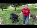 Eve / Everyfun Collapsible Foldable Wagon - 440 pound capacity - Setup, Demo, & Review