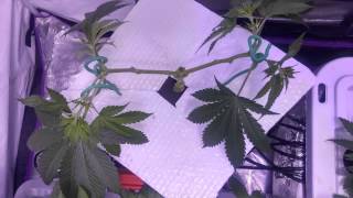 Grow Journal App, Fresh Rez's all around! screenshot 4