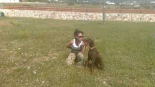 Funny Training Moments With My Dogs, Lara Zeys