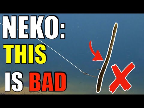 NEKO Rig: Why You are MISSING Out if Your Worm is NOT Doing This