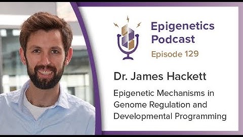 Epi Podcast #129 - Epigenetic Mechanisms in Genome Regulation and Development with Jamie Hackett