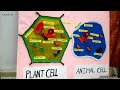 Cell Biology Lecture 1 | Basics of Cell, Plant Cell & Animal Cell | Explained by Jaanvi S. Mam