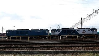 2014/12/21 JR貨物 EF64-1014 & EF64-1021 稲沢駅 / JR Freight: EF64 Series at Inazawa
