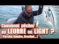 Comment pecher au leurre en light  perche sandre brochet