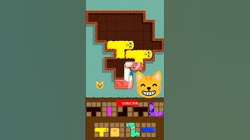 Puzzles Cats #shorts #games #funny