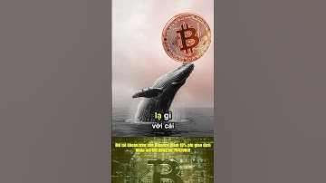 Cá voi bí ẩn Hyperliquid cược lớn lần hai, bán khống Bitcoin gần nửa tỷ USD #bitcoin  #crypto