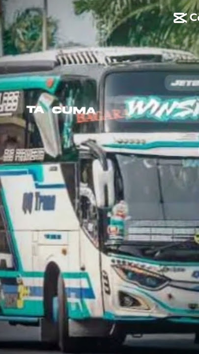 Bus winpektor