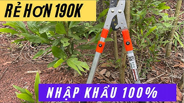 Kéo cắt cành cộng lực đường kính cắt được 5-7cm làm cây,làm vườn giá công khai 3xx