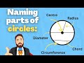 Understanding Circle Properties