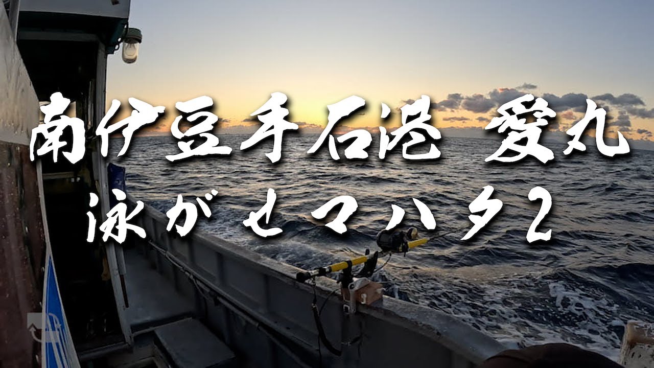 【泳がせマハタ２】＠南伊豆手石港 愛丸【朝日が綺麗】