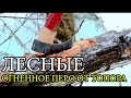 Огненное перо от топора | Axe Feather Sticks