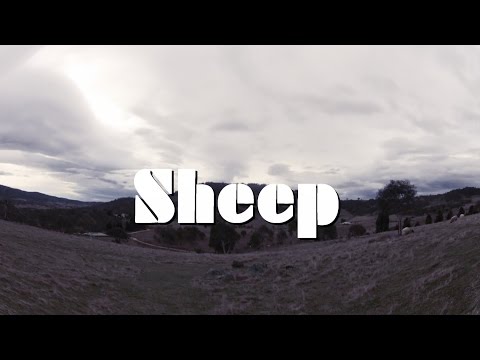 Pink Floyd - Sheep (Psychedelic video)