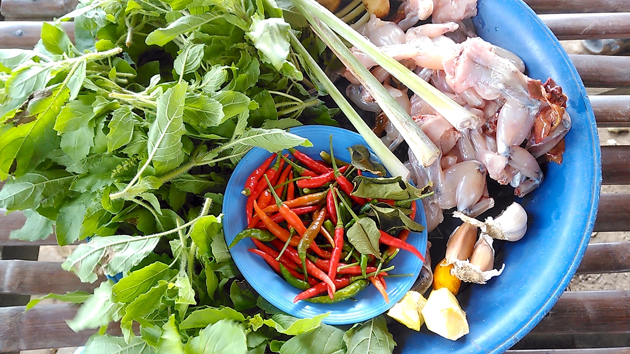 river of life natural foods Country food, Fried Spicy FROG Recipes, Life of Natural Foods