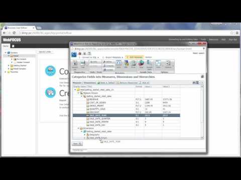 WebFOCUS 8.2 BUE Working With Data: Connecting to Data and Editing Data