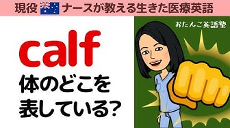 おたんこ英語塾5日間無料体験 Youtube