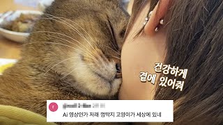 13년 동안 보은했던 마일로를 건강하게 지켜주는 방법